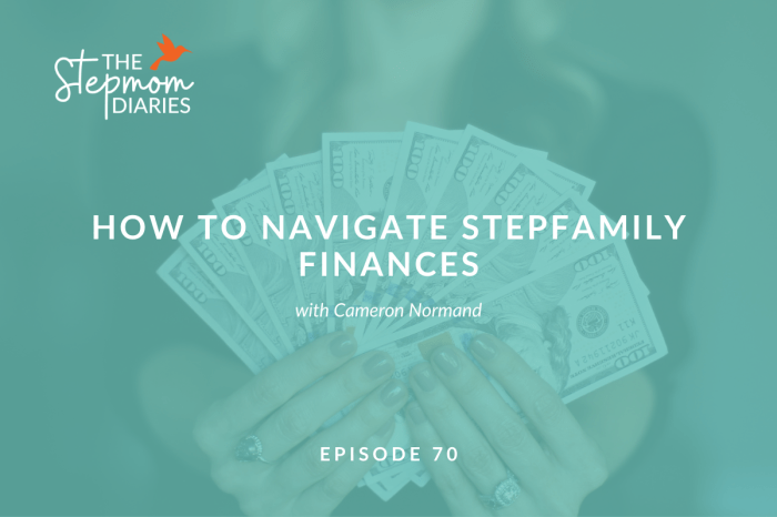 Stepfamily dynamics